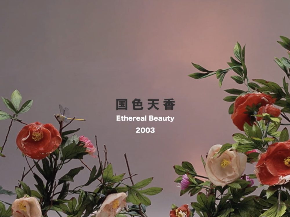 Documentary 2003-2020