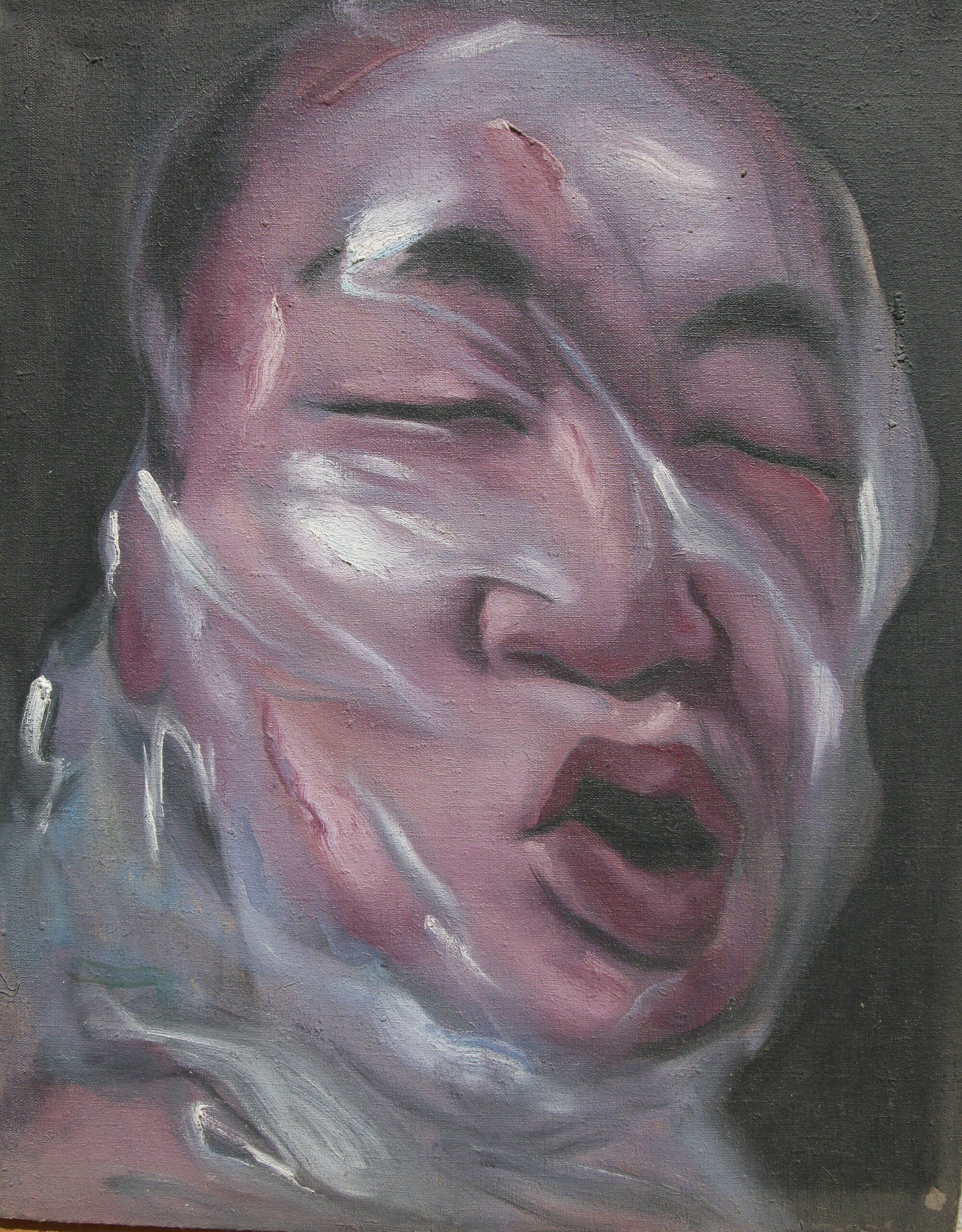 Dysphasia (head) series No.2,50x40cm,1996