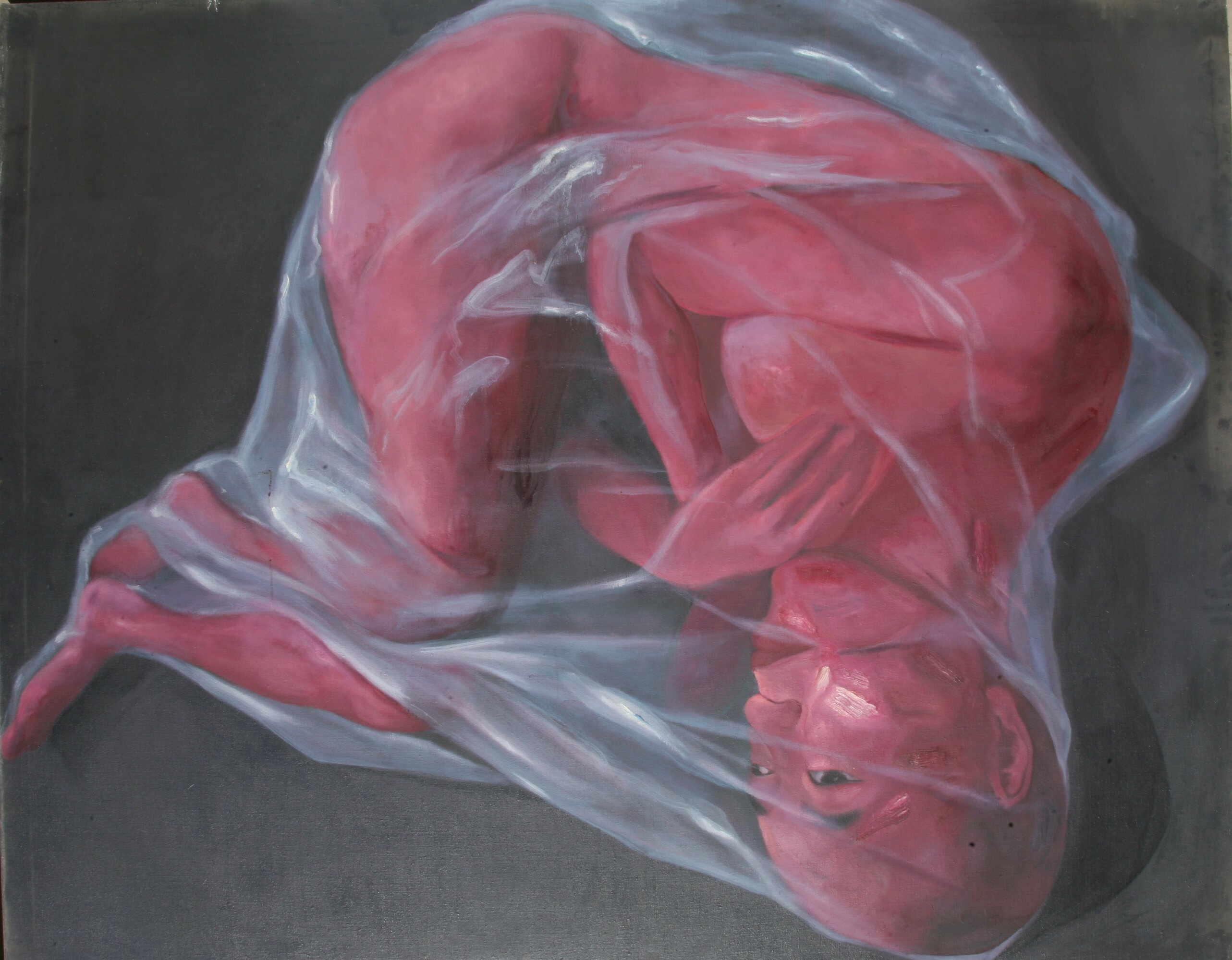 Dysphasia series No.4,220x175cm,1995